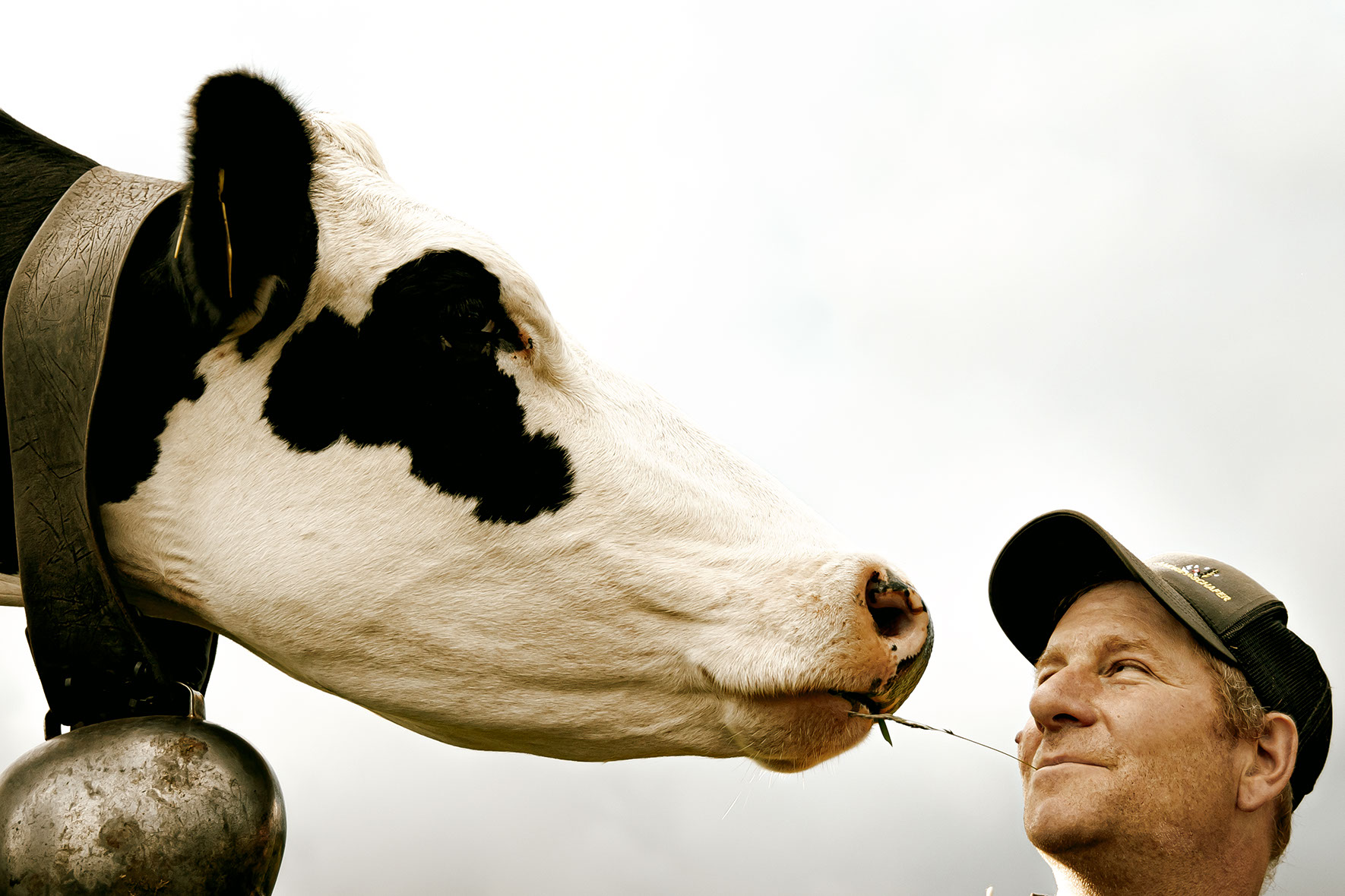 Producteurs de lait avec sa vache